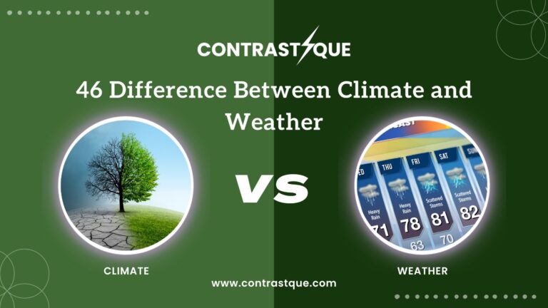 46 Difference Between Climate and Weather