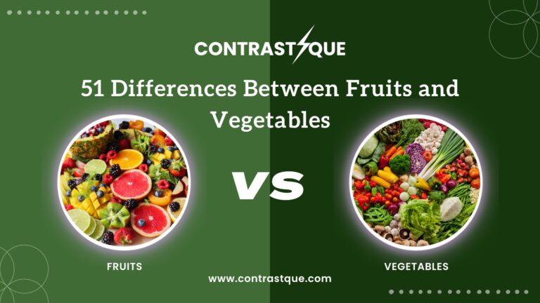 51 Differences Between Fruits and Vegetables