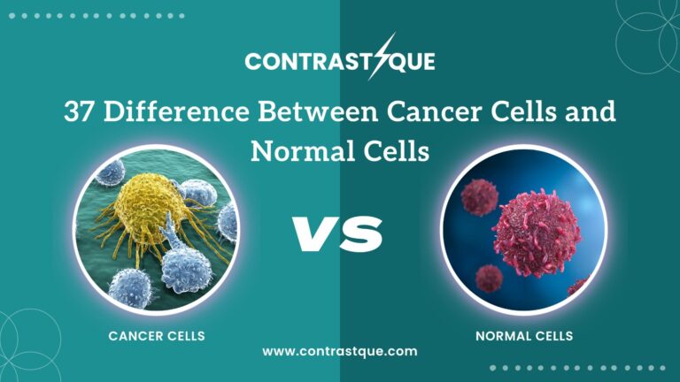 37 Difference Between Cancer Cells and Normal Cells