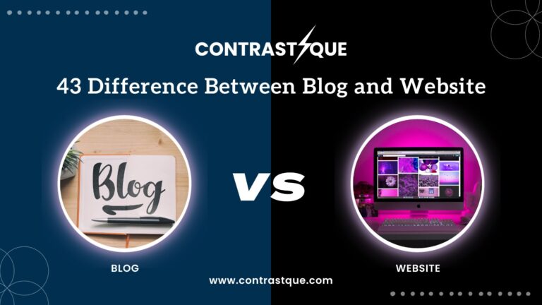 43 Difference Between Blog and Website