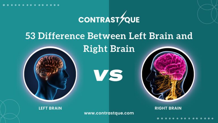 53 Difference Between Left Brain and Right Brain