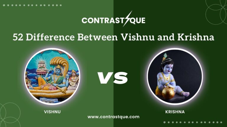 Vishnu and Krishna