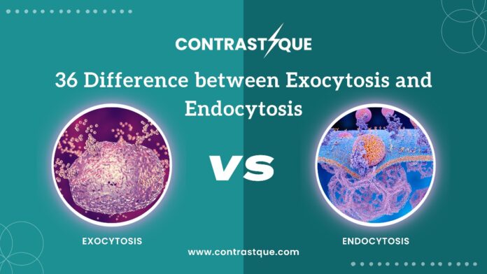 36 Difference between Exocytosis and Endocytosis