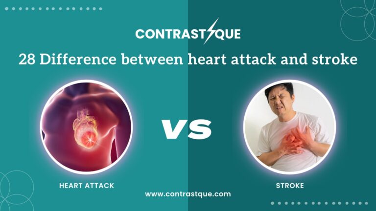 28 Difference between heart attack and stroke