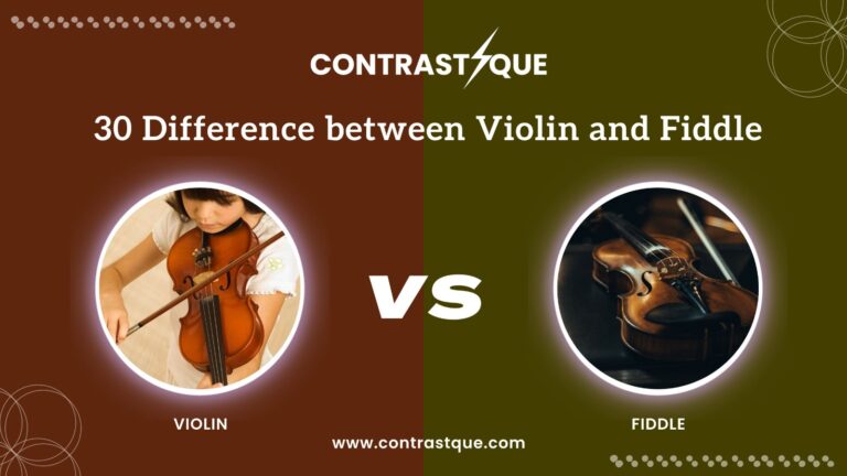 30 Difference between violin and fiddle