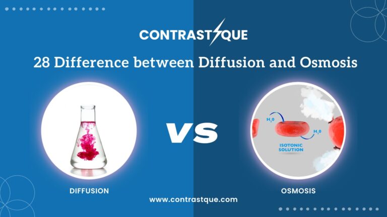 28 Difference between Diffusion and Osmosis