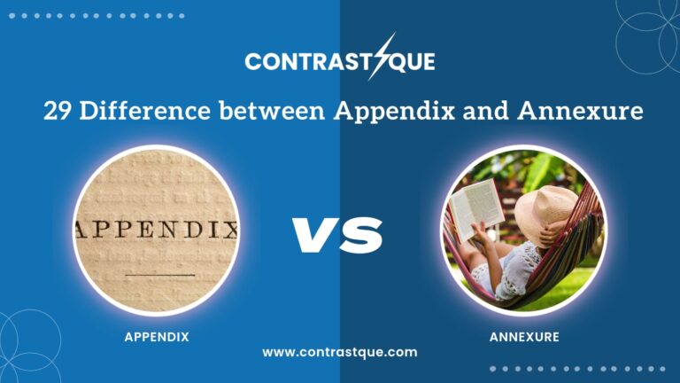 29 Difference between Appendix and Annex