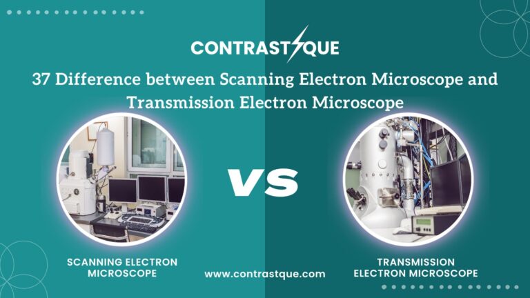 37 Difference between Scanning Electron Microscope and Transmission Electron Microscope